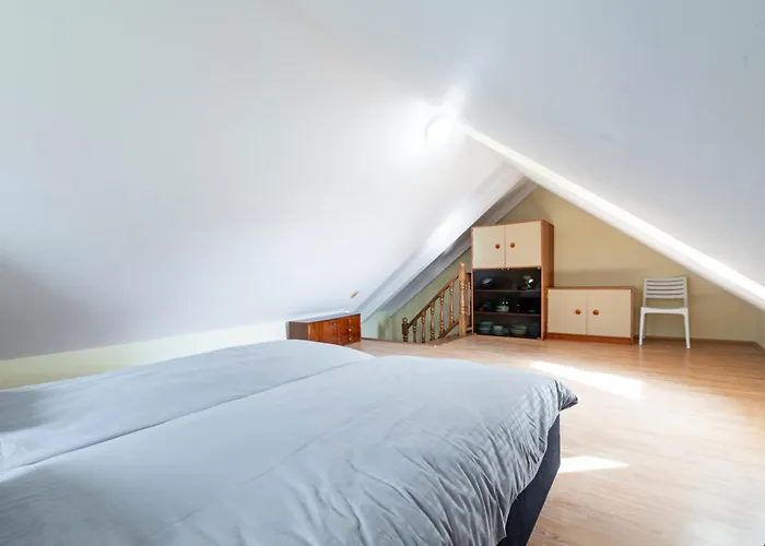 Vera Дубровник