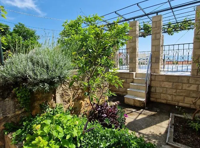 Vera دوبروفينك