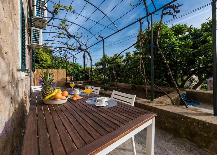 Vera * دوبروفينك